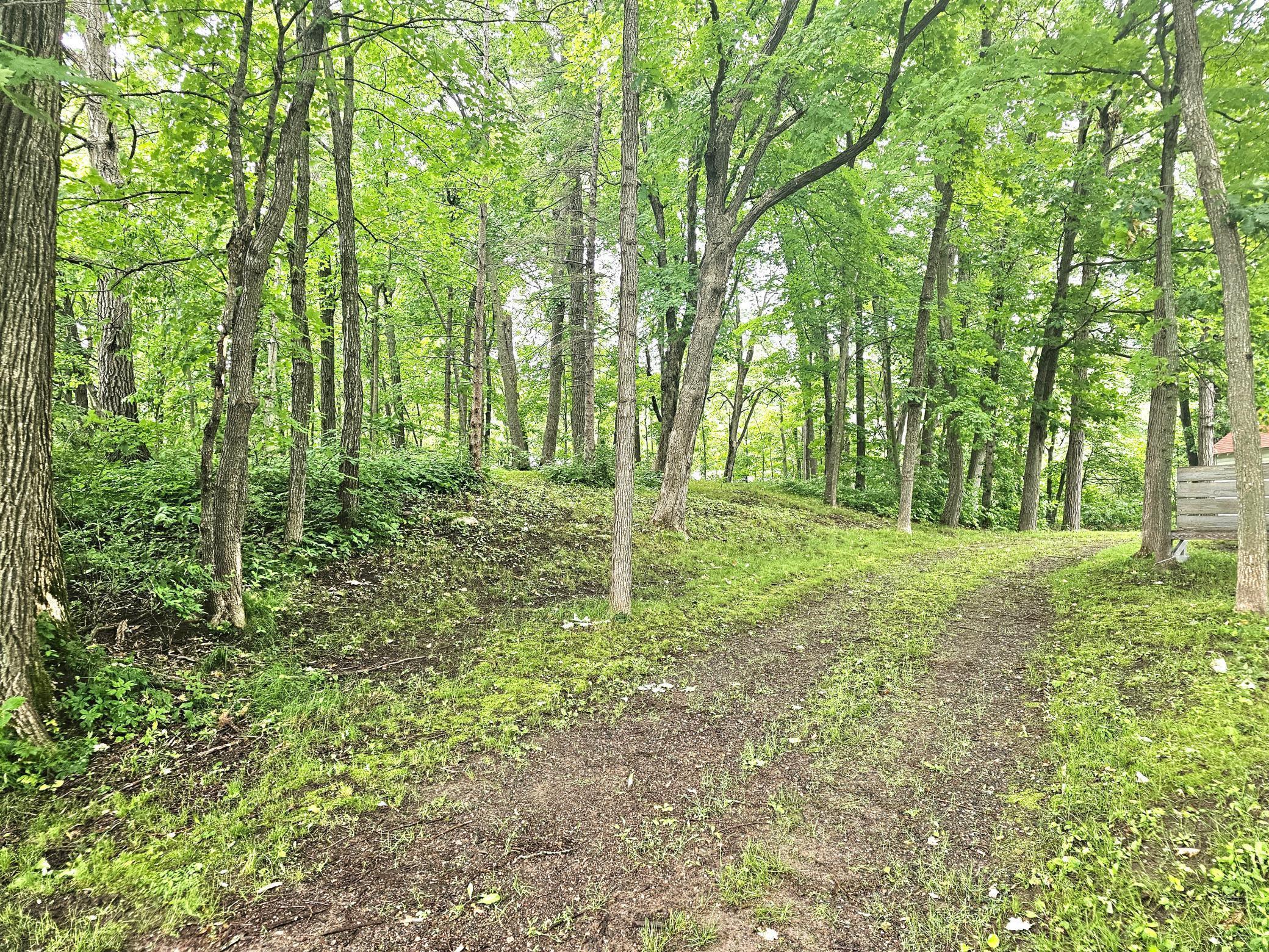 Image 2 Image 2