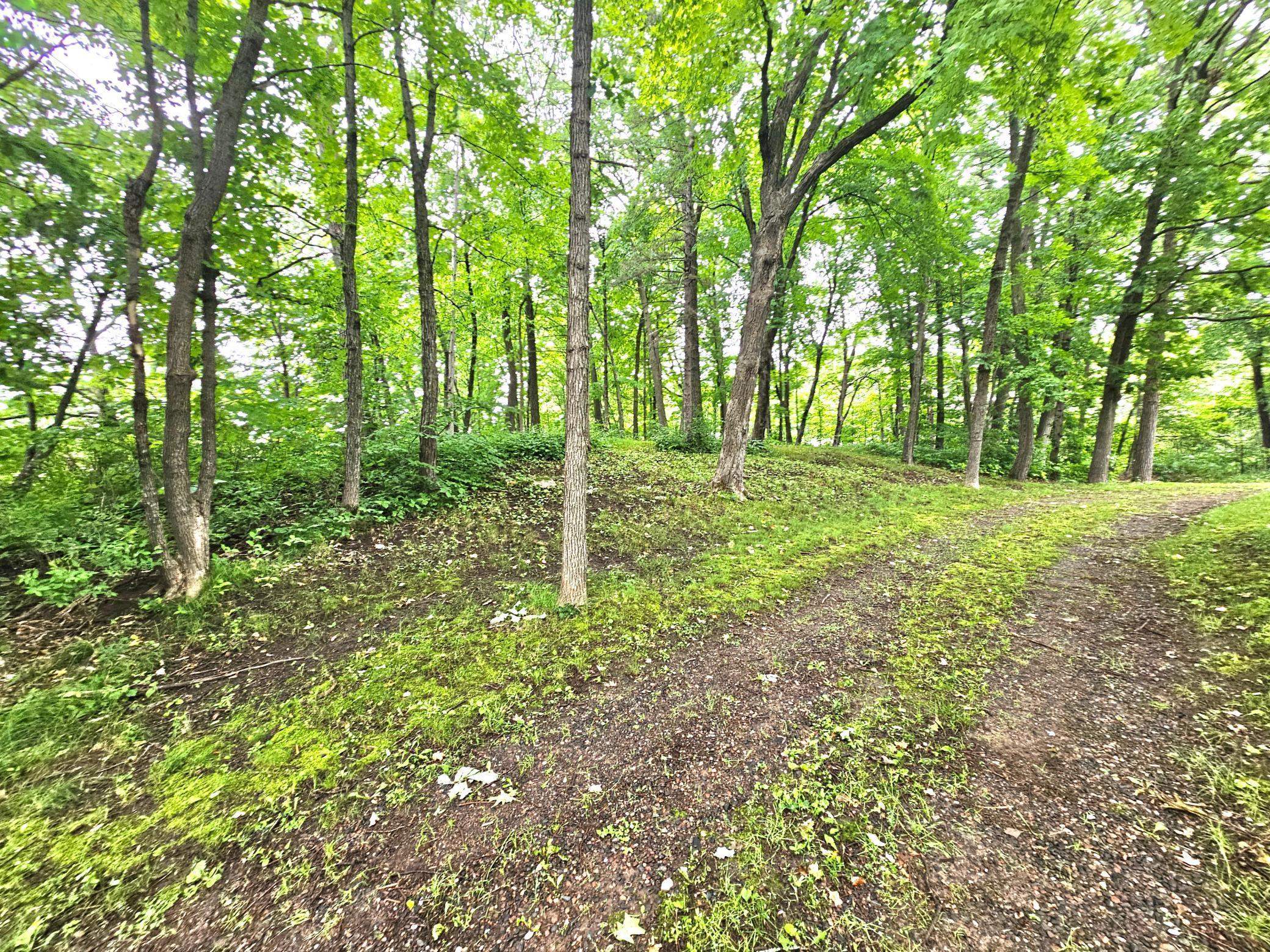 Image 4 Image 4