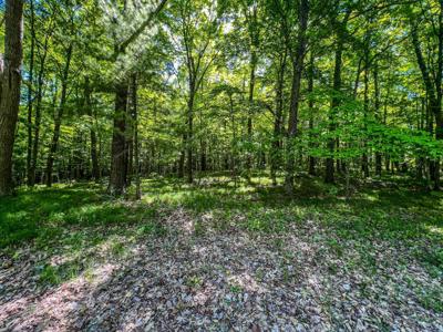 TBD Tract A Damsgaard Road