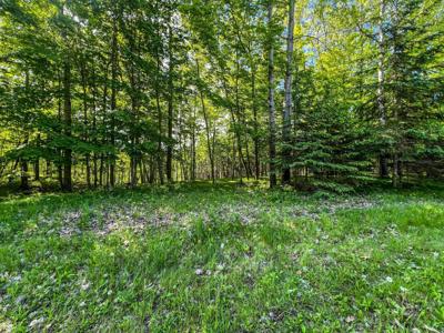 TBD Tract D Damsgaard Road