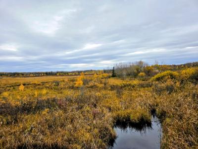 111 ATV Snowmobile Trail Bridge