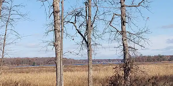 XXX Platte Lake