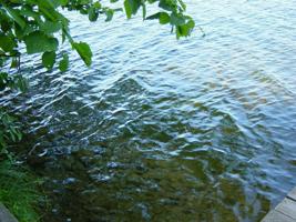 Lot 1 2827 State  84 Highway NW