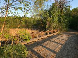 505 Peninsula Point Road
