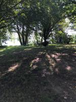 Part of 84 Pleasant View Road