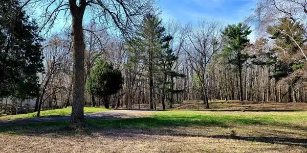 XXX Cedar