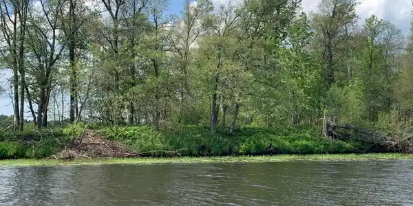 XX Island Lot