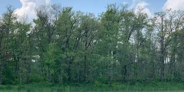 XXX Island Lot