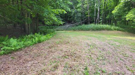 1560 Hines Lakeview Drive