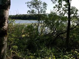 3939 Spring Lake Drive