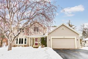 643 White Birch