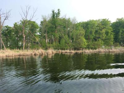 Lot 7 Majestic NW
