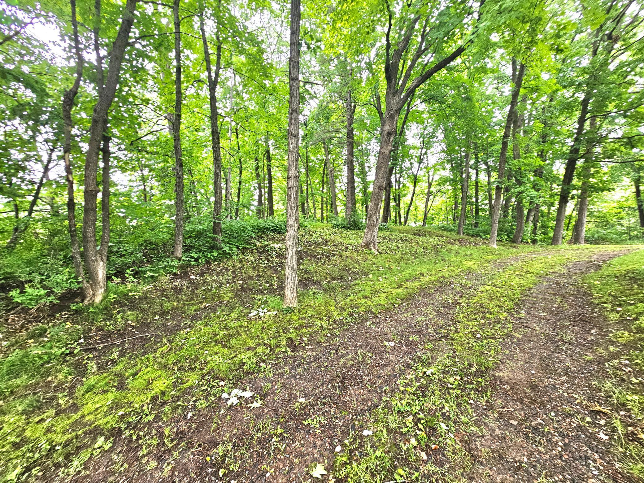 Image 4 Image 4