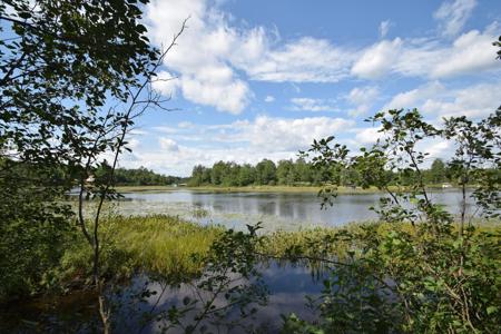 Lot 5 Secluded Lane