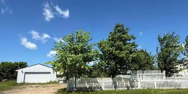 252 Elm Street