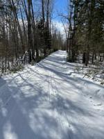 TBD Bass Lake Road