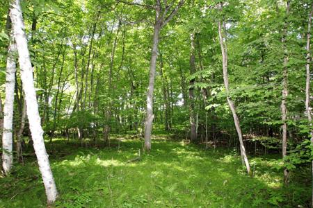 4967X Fish Lake Road