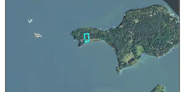 Brush Island