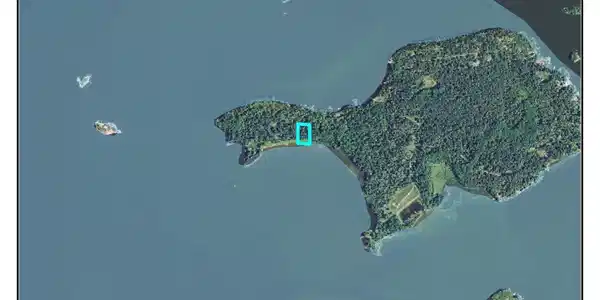 Brush Island