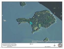 Brush Island