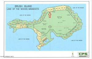 Brush Island