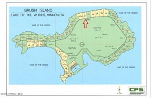Brush Island
