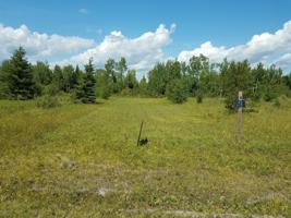 TBD Town Rd 112 Road