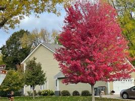 3901 Crestview