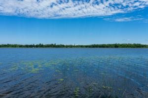 28509 MN-89 Highway
