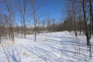 Lot 7 Belle Isle Drive
