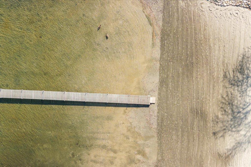 Image 4 Image 4