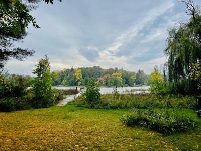 5969 Jack Pine Road