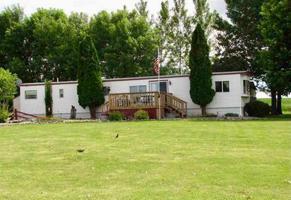 43 Pommier