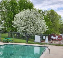 2945 County Road 4 #65 SW