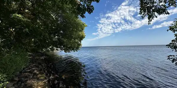 Image 4 Image 4