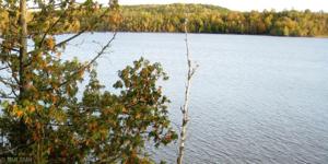 Tract D Hinsdale Island