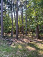 12253 Whitefish Avenue (Back Lot)