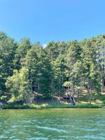 12253 Whitefish Avenue (Log Cabin)