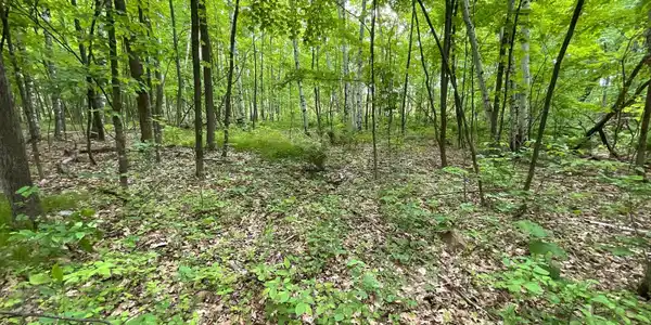 Image 4 Image 4