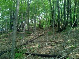 xxxx Cart Trail SW