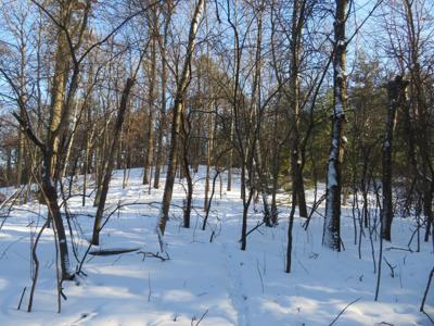 Lot 1 Lincoln Avenue