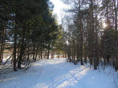 Lot 2 E Lincoln Ave