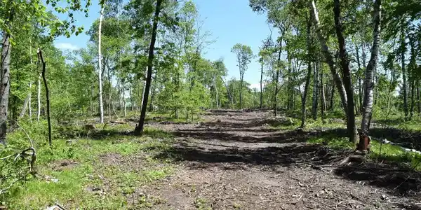 Tract F Love Lake Road