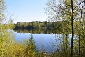 48780 Loon Call