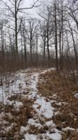 TBD 5 Mile Road