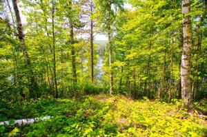 6157 Voyageurs Trail