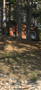 12307 Whitefish