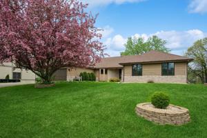 1687 Wedgewood