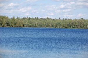 TBD Hwy 100