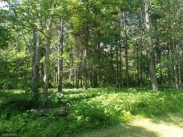 TBD Grouse Loop NW
